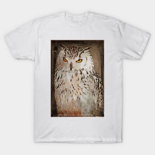 Vintage Style Owl T-Shirt